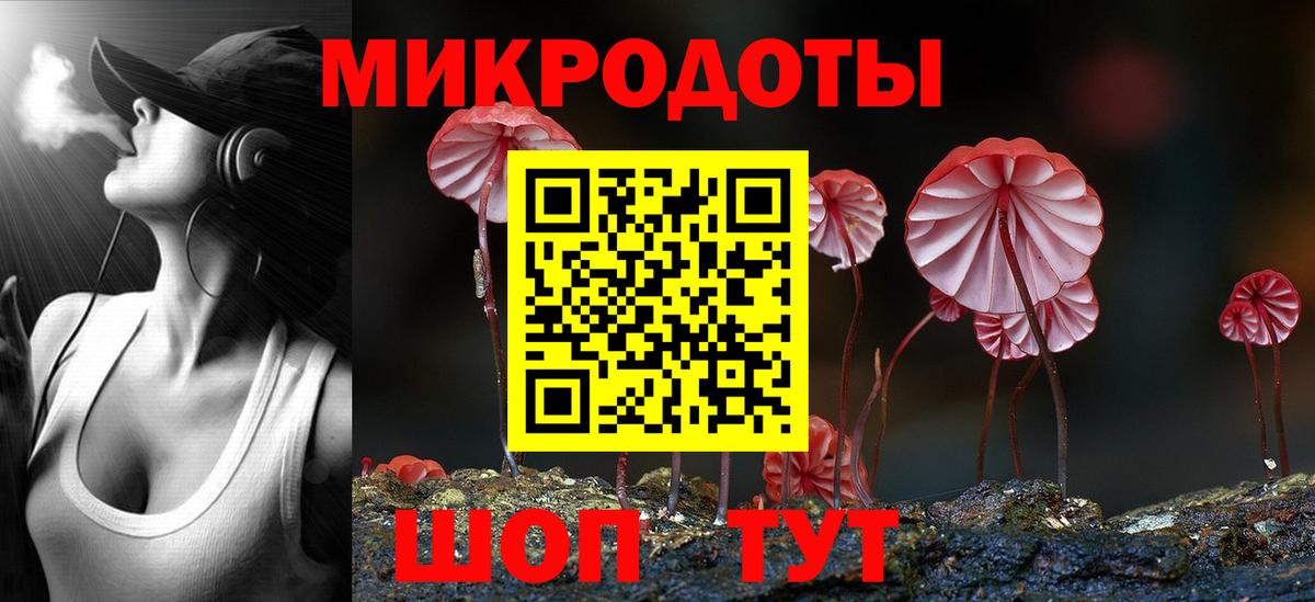 Псилоцибиновые грибы прущие грибы Дубна