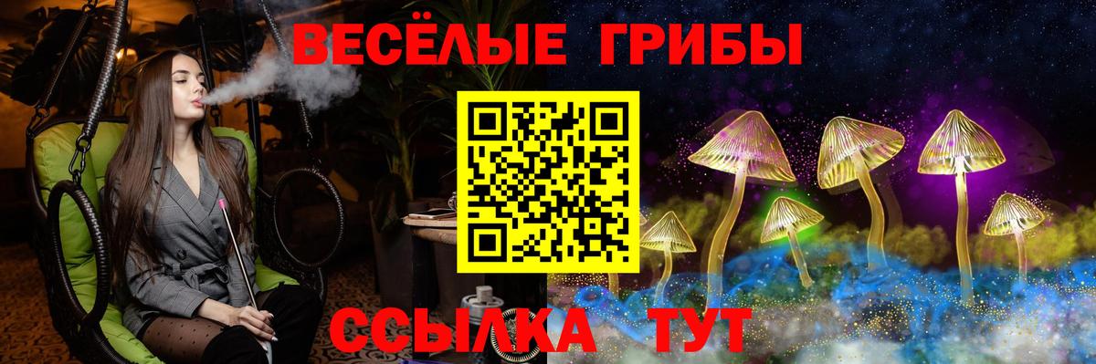 Дубна  Галлюциногенные грибы мицелий  купить  цена  Вход с VPN 